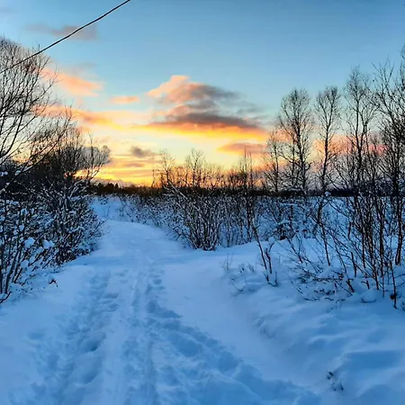 Happy Camper Living * سورتلاند