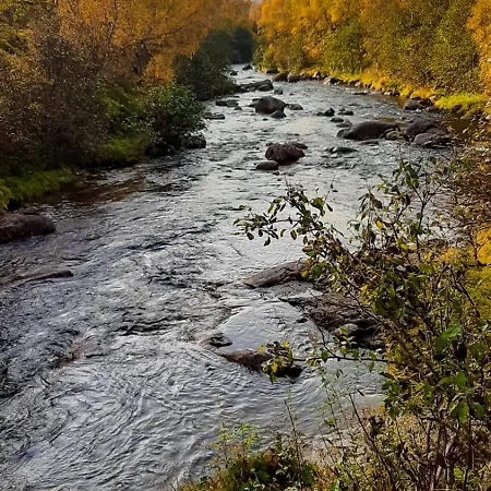 Camping Happy Camper Living *