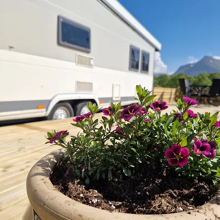 Happy Camper Living