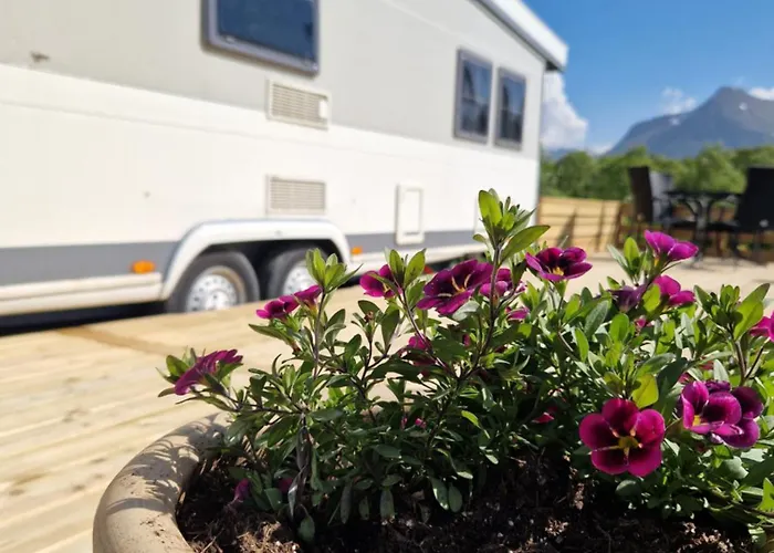 Happy Camper Living